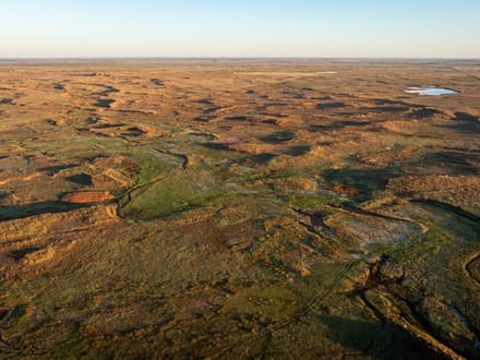 Blue Dog Prairie Ranch 