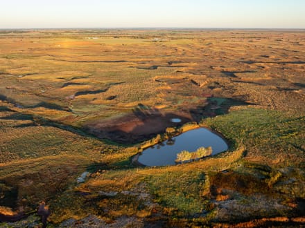 Blue Dog Prairie Ranch 