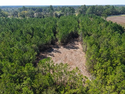 3.01 +/- Ac Land for Sale in Ware County, GA