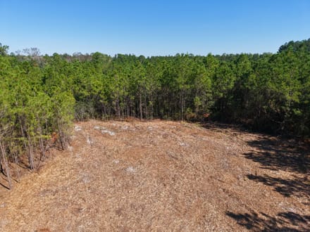 3.01 +/- Ac Land for Sale in Ware County, GA