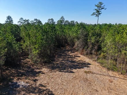 3.01 +/- Ac Land for Sale in Ware County, GA