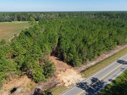 3.01 +/- Ac Land for Sale in Ware County, GA