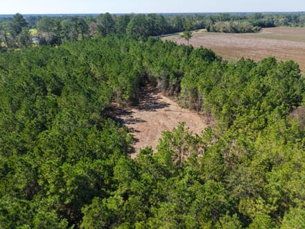 3.01 +/- Ac Land for Sale in Ware County, GA