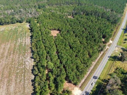 3.01 +/- Ac Land for Sale in Ware County, GA
