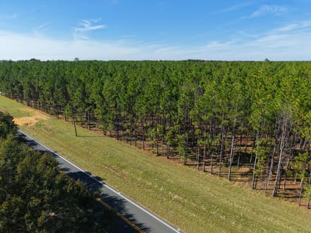 5.15 +/- Ac Land for Sale in Emanuel County, GA