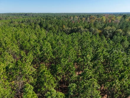 5.15 +/- Ac Land for Sale in Emanuel County, GA