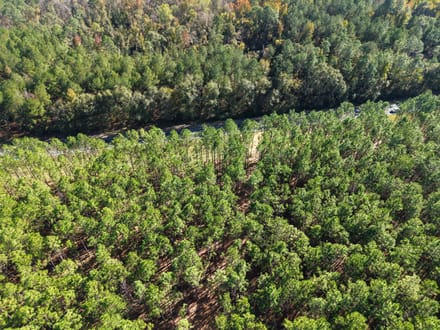 5.15 +/- Ac Land for Sale in Emanuel County, GA