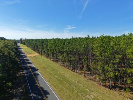 5.15 +/- Ac Land for Sale in Emanuel County, GA