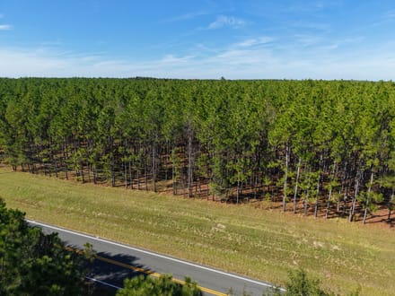 5.15 +/- Ac Land for Sale in Emanuel County, GA