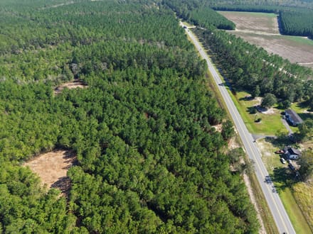 7.72 +/- Ac Land for Sale in Ware County, GA