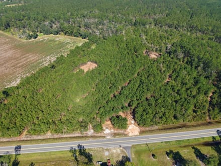 7.72 +/- Ac Land for Sale in Ware County, GA