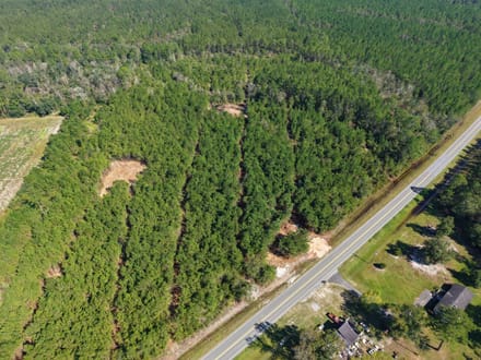 7.72 +/- Ac Land for Sale in Ware County, GA