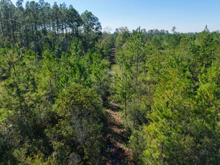 7.72 +/- Ac Land for Sale in Ware County, GA