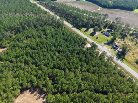 7.72 +/- Ac Land for Sale in Ware County, GA