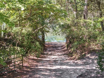 0.33 +/- Acres For Sale Brantley County GA