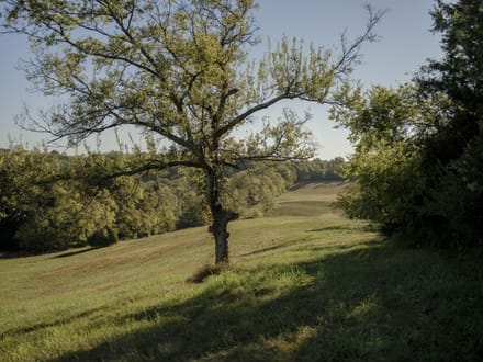 94 Acres of Preserved Heritage & Scenic Beauty