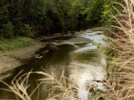 94 Acres on the Duck River