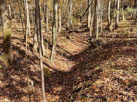 Sterling Manor - Fully Entitled for 53 Residential Building Lots