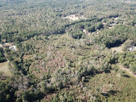 Teal Road - 21.88 Acres