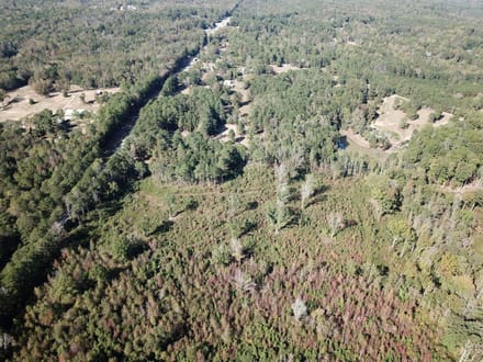 Teal Road - 21.88 Acres