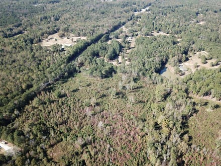 Teal Road - 21.88 Acres