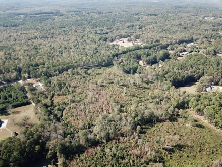 Teal Road - 21.88 Acres