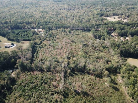 Teal Road - 21.88 Acres