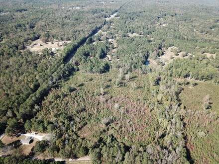 Teal Road - 21.88 Acres
