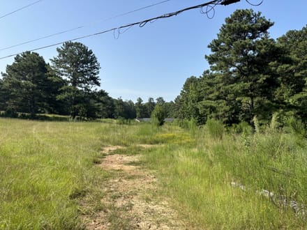 8500 Cedar Grove Rd - 18.2 Acres