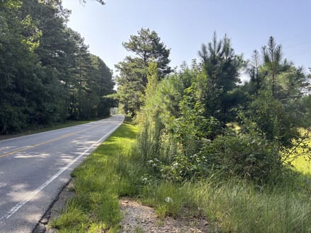 8500 Cedar Grove Rd - 18.2 Acres