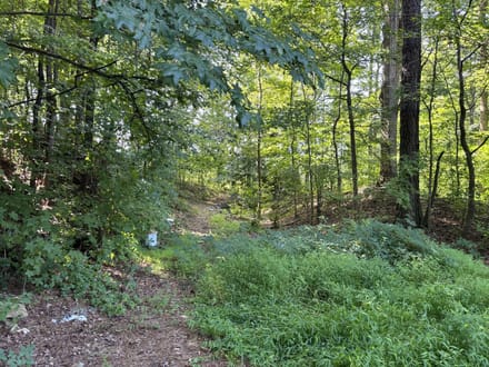 8500 Cedar Grove Rd - 18.2 Acres