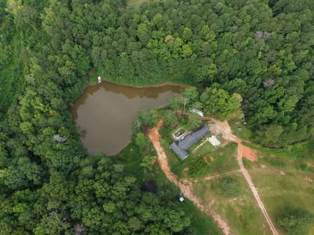 8500 Cedar Grove Rd - 18.2 Acres