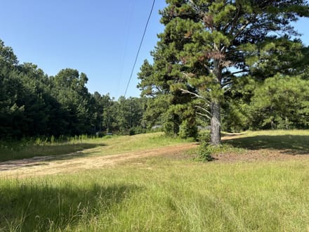 8500 Cedar Grove Rd - 18.2 Acres
