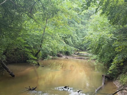 Highway 20 - 131.12 Acres