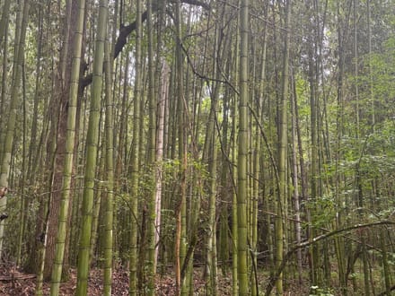 Highway 20 - 131.12 Acres