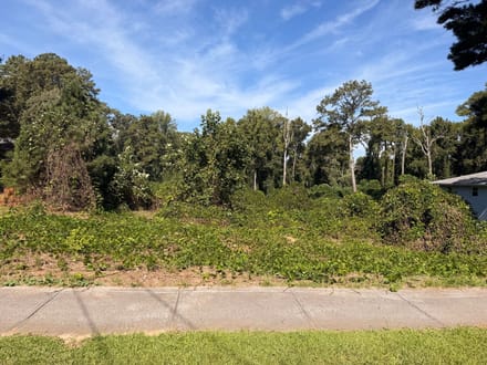 1156 Blair Bridge Road - 1.5 Acres