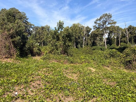 1156 Blair Bridge Road - 1.5 Acres