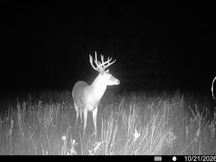 0 FM 2554, Ivanhoe, TX 75447