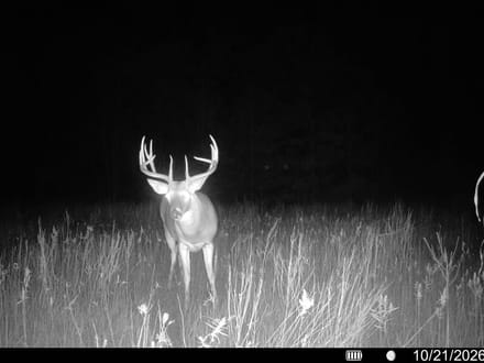 0 FM 2554, Ivanhoe, TX 75447