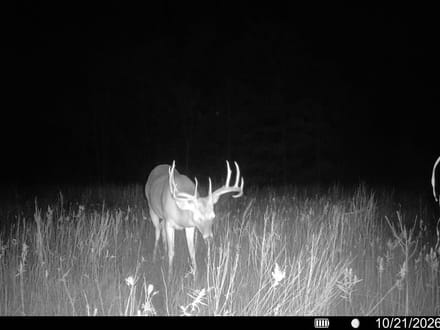 0 FM 2554, Ivanhoe, TX 75447