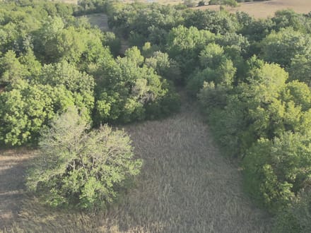 14± Acres with Home East of Hydro