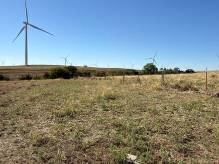 320 Acres West of Thomas