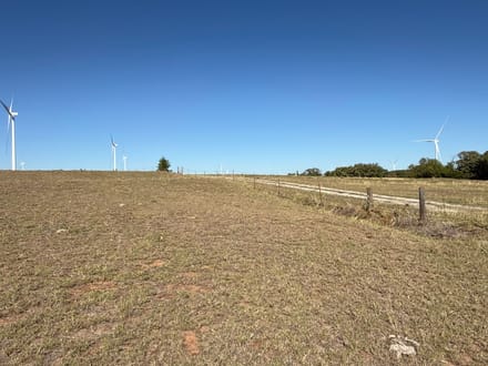320 Acres West of Thomas