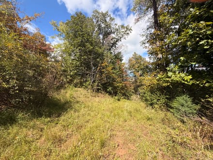 118± Acres of Wooded Recreational Land with Mineral Rights