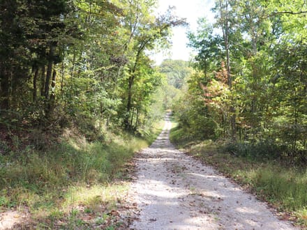 118± Acres of Wooded Recreational Land with Mineral Rights