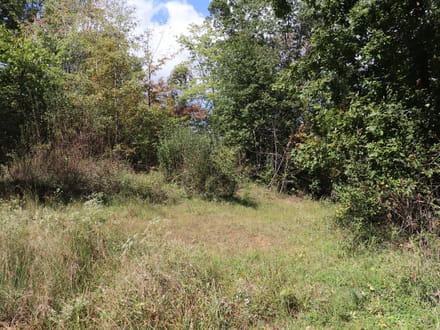 118± Acres of Wooded Recreational Land with Mineral Rights