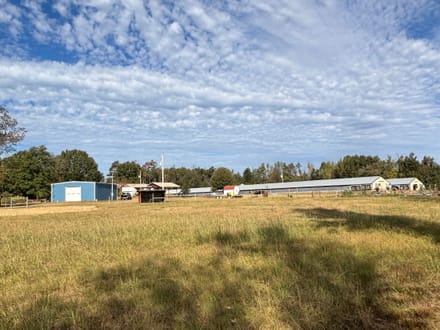 Coleman Chicken Farm