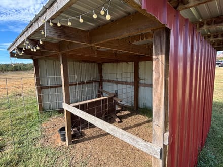 Coleman Chicken Farm