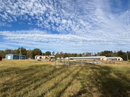 Coleman Chicken Farm