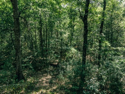Kyle Lane Tract